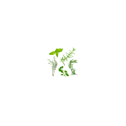 Boite 10 berlingots Epices Herbes de Provence Bio- 110 Gr