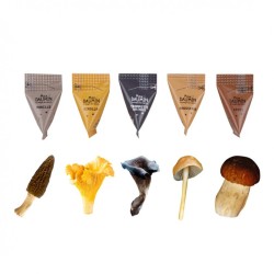 Coffret 15 berlingots assortiment champignons - 380 Gr