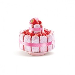 Le biscuit de Reims - 100 Gr